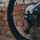 1103650_15.jpg