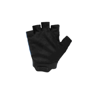 12616_1.png