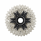 ICSR8101121_1.png